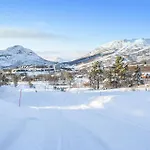Tatil Evi Pet Friendly In I Setesdal Hovden (Aust-Agder)
