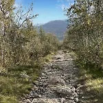 Pet Friendly In I Setesdal Hovden (Aust-Agder)