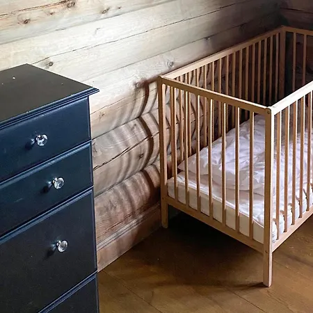 Semesterbostad Pet Friendly In I Setesdal *