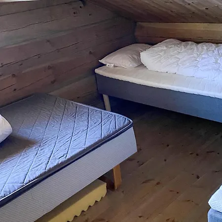Pet Friendly In I Setesdal *