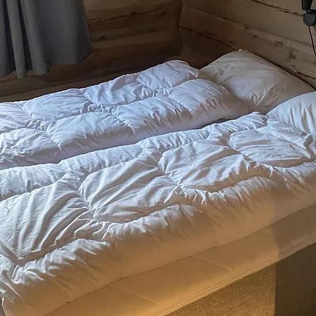 Pet Friendly In I Setesdal Semesterbostad *