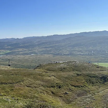 Pet Friendly In I Setesdal Semesterbostad Hovden (Aust-Agder)