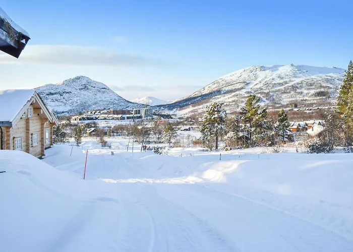 Semesterbostad Pet Friendly In I Setesdal Hovden (Aust-Agder)