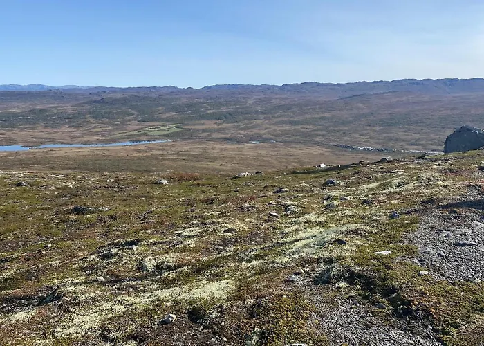 Pet Friendly In I Setesdal *